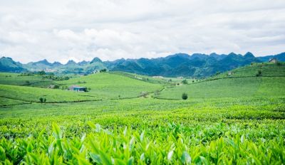 Tour Quảng Trị - Săn mây Tà Xùa