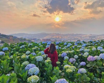 Tour Đà Lạt 3 ngày 2 đêm