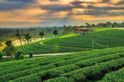 Khám phá Chiang Mai - Chiang Rai 4N3Đ