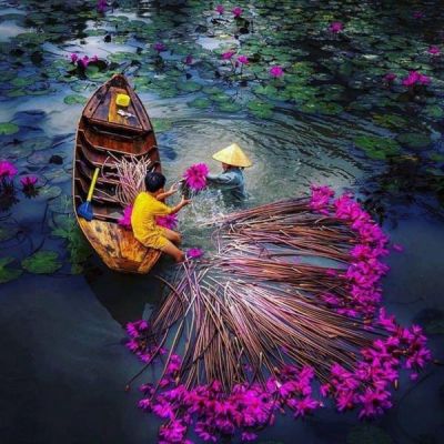 Mùa nước nổi miền Tây - Bản hòa tấu của sông nước và cuộc sống